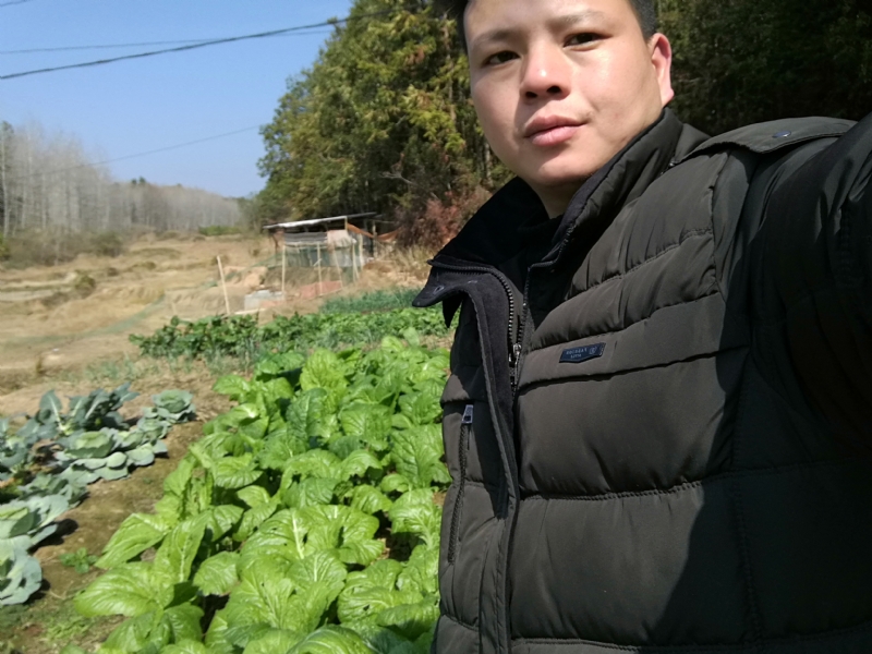 倔强的驴的第一张照片--德州相亲服务中心