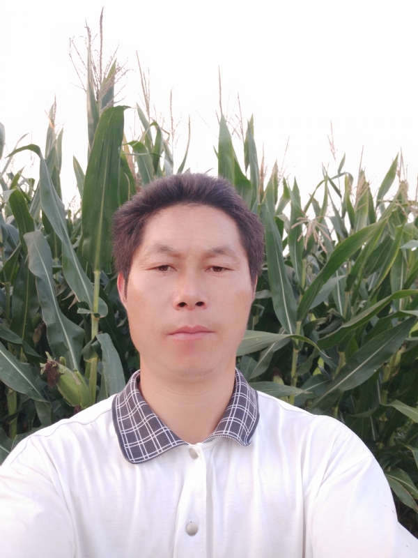 四海游龙的第二张照片--德州相亲服务中心