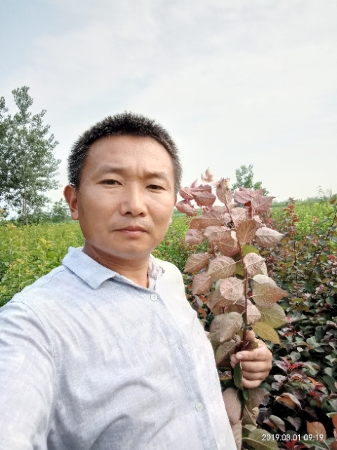 孩子爸的第一张照片--德州相亲服务中心