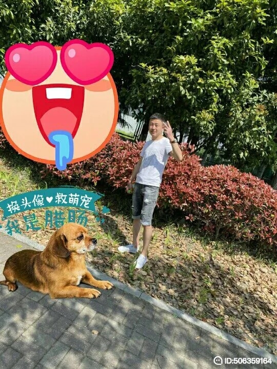我若不坚强谁替我勇敢的第一张照片--德州相亲服务中心