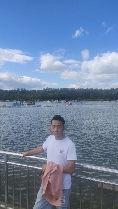 脱了壳的龟的第一张照片--德州相亲服务中心